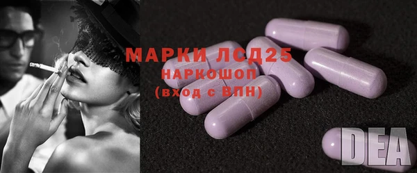 ГАЛЛЮЦИНОГЕННЫЕ ГРИБЫ Баксан