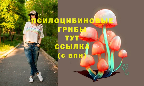 шишки Балахна