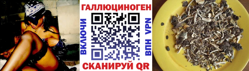 Псилоцибиновые грибы ЛСД  купить наркотики цена  Краснозаводск 